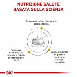 Royal Canin Urinary S/O Moderate Calorie - 1,5 Kg -Cibo per gatti negozio grafiche magento bauzaar 2023 05 04t092514.918