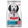 Hill's Science Plan Hypoallergenic Adult Large Breed Dog Al Salmone - 14 Kg -Cibo per gatti negozio grafiche magento bauzaar 2023 05 23t145601.541 1