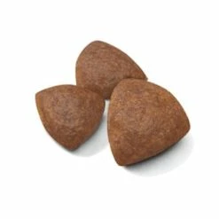 Royal Canin Medium Starter - Mother & Babydog - 4 Kg -Cibo per gatti negozio grafiche magento bauzaar 2023 06 06t184823.383