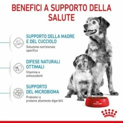 Royal Canin Medium Starter - Mother & Babydog - 4 Kg -Cibo per gatti negozio grafiche magento bauzaar 2023 06 06t184850.685