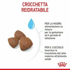 Royal Canin Medium Starter - Mother & Babydog - 4 Kg -Cibo per gatti negozio grafiche magento bauzaar 2023 06 06t184859.017