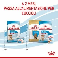 Royal Canin Medium Starter - Mother & Babydog - 4 Kg -Cibo per gatti negozio grafiche magento bauzaar 2023 06 06t184909.786