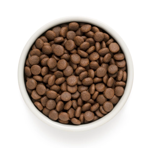 Grandorf Dog Junior Medium/Maxi Agnello E Tacchino - 10 Kg 4 Grandorf Dog Junior Medium/Maxi Agnello E Tacchino - 10 Kg - immagine 2