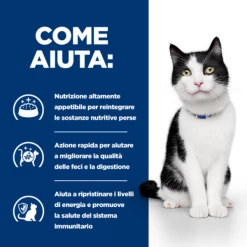 Hill's Prescription Diet I/d Feline - 156 Gr -Cibo per gatti negozio grafiche prodotti magento 600x600 2022 04 07t092657.845