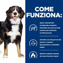 Hill's Prescription Diet Metabolic + Mobility Canine - 12 Kg -Cibo per gatti negozio grafiche prodotti magento 600x600 2022 06 15t092843.634