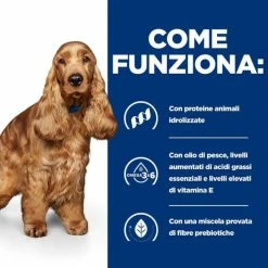Hill's Prescription Diet Z/d Canine - 10 Kg -Cibo per gatti negozio grafiche prodotti magento 600x600 2022 06 15t095621.776