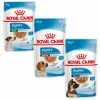Royal Canin Puppy Umido - Medium 140 Gr 1 Royal Canin Puppy Umido - Medium 140 Gr -Cibo per gatti negozio grafiche prodotti magento 600x600 2022 06 24t162603.667