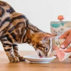 Schesir Umido Per Gatti Kitten Care Crema In Busta 150 Gr - Pollo -Cibo per gatti negozio grafiche prodotti magento 600x600 2022 07 12t111236.046 1