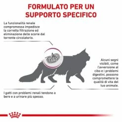 Royal Canin Veterinary Renal Special Feline - 2 Kg -Cibo per gatti negozio grafiche prodotti magento 600x600 2022 08 23t144635.050