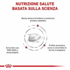 Royal Canin Veterinary Renal Special Feline - 2 Kg -Cibo per gatti negozio grafiche prodotti magento 600x600 2022 08 23t144645.455