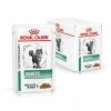 Royal Canin Diabetic Multipack Cat - 12 Buste Da 85 Gr 2 Royal Canin Diabetic Multipack Cat - 12 Buste Da 85 Gr -Cibo per gatti negozio grafiche prodotti magento 600x600 2022 08 26t152011.693 1