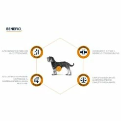 Advance Veterinary Diets Weight Balance Mini - 1,5 Kg -Cibo per gatti negozio grafiche prodotti magento 600x600 2022 09 09t101959.246