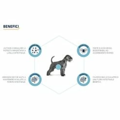 Advance Veterinary Diets Gastroenteric - 3 Kg 7 Advance Veterinary Diets Gastroenteric - 3 Kg -Cibo per gatti negozio grafiche prodotti magento 600x600 2022 09 09t115525.679