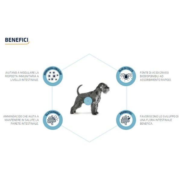 Advance Veterinary Diets Gastroenteric - 3 Kg 5 Advance Veterinary Diets Gastroenteric - 3 Kg - immagine 3