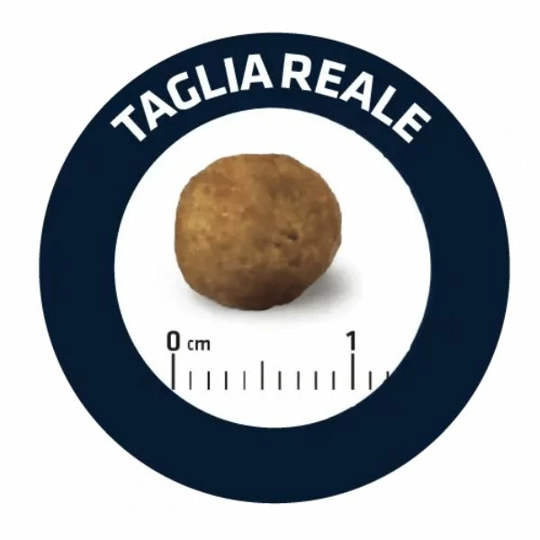 Advance Veterinary Diets Gastroenteric - 3 Kg 4 Advance Veterinary Diets Gastroenteric - 3 Kg - immagine 2