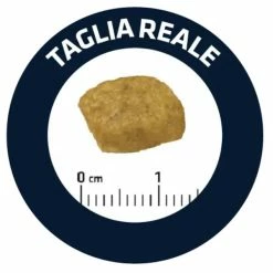 Advance Veterinary Diets Gastroenteric Sensitive Cat - 1,5 Kg -Cibo per gatti negozio grafiche prodotti magento 600x600 2022 09 09t122311.732 1