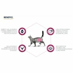 Advance Veterinary Diets Urinary Cat - 1,5 Kg -Cibo per gatti negozio grafiche prodotti magento 600x600 2022 09 09t141551.978