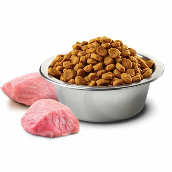 Farmina N&D Grain Free Pumpkin Adult Medium/Maxi Agnello E Mirtillo - 2,5 Kg 4 Farmina N&D Grain Free Pumpkin Adult Medium/Maxi Agnello E Mirtillo - 2,5 Kg - immagine 2