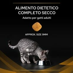 Purina Pro Plan Veterinary Diets NF Renal Function Advanced Care - 1,5 Kg 11 Purina Pro Plan Veterinary Diets NF Renal Function Advanced Care - 1,5 Kg -Cibo per gatti negozio grafiche prodotti magento 600x600 2022 10 17t164206.242