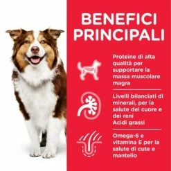 Hill's Science Plan Mature Adult 7+ Alimento Per Cani 370 Gr - Pollo 9 Hill's Science Plan Mature Adult 7+ Alimento Per Cani 370 Gr - Pollo -Cibo per gatti negozio grafiche prodotti magento 600x600 2022 11 02t123458.564