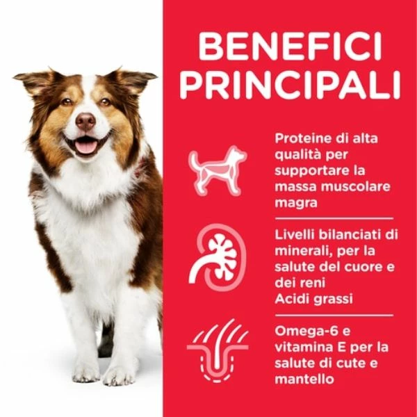 Hill's Science Plan Mature Adult 7+ Alimento Per Cani 370 Gr - Pollo 5 Hill's Science Plan Mature Adult 7+ Alimento Per Cani 370 Gr - Pollo - immagine 3