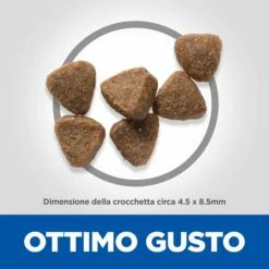Hill's Science Plan Kitten Alimento Per Gattini Con Pollo - 1,5 Kg -Cibo per gatti negozio grafiche prodotti magento 600x600 2022 11 02t125507.525