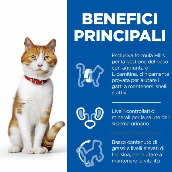 Hill's Science Plan Young Adult Sterilised Cat Alimento Per Gatti 85 Gr - Con Salmone 4 Hill's Science Plan Young Adult Sterilised Cat Alimento Per Gatti 85 Gr - Con Salmone - immagine 2