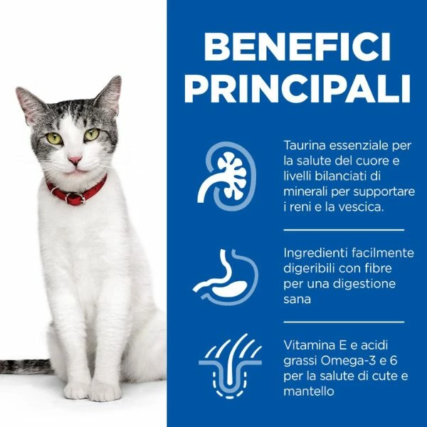 Hill's Science Plan Mature Adult 7+ Alimento Per Gatti 85 Gr - Con Pesce Oceanico 4 Hill's Science Plan Mature Adult 7+ Alimento Per Gatti 85 Gr - Con Pesce Oceanico - immagine 2