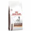 Royal Canin Gastrointestinal Low Fat Canine - 1,5 Kg -Cibo per gatti negozio grafiche prodotti magento 600x600 2022 11 07t115638.983