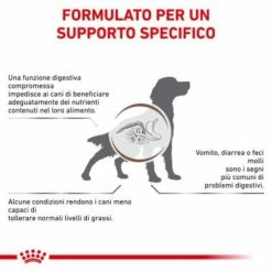 Royal Canin Gastrointestinal Low Fat Canine - 1,5 Kg 9 Royal Canin Gastrointestinal Low Fat Canine - 1,5 Kg -Cibo per gatti negozio grafiche prodotti magento 600x600 2022 11 07t115652.822