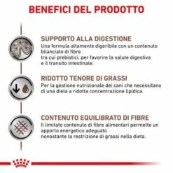 Royal Canin Gastrointestinal Low Fat Canine - 1,5 Kg 10 Royal Canin Gastrointestinal Low Fat Canine - 1,5 Kg -Cibo per gatti negozio grafiche prodotti magento 600x600 2022 11 07t115658.714