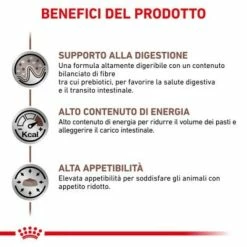 Royal Canin Gastrointestinal Feline - 4 Kg -Cibo per gatti negozio grafiche prodotti magento 600x600 2022 11 07t120748.615