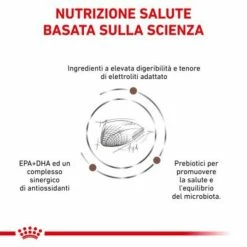 Royal Canin Gastrointestinal Feline - 4 Kg -Cibo per gatti negozio grafiche prodotti magento 600x600 2022 11 07t120753.617