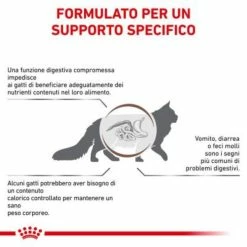Royal Canin Gastrointestinal Moderate Calorie Feline - 2 Kg -Cibo per gatti negozio grafiche prodotti magento 600x600 2022 11 07t121642.246