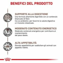 Royal Canin Gastrointestinal Moderate Calorie Feline - 2 Kg -Cibo per gatti negozio grafiche prodotti magento 600x600 2022 11 07t121706.635