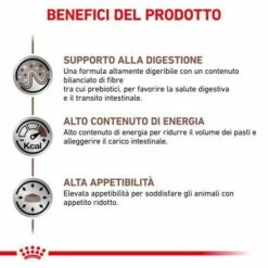 Royal Canin Gastrointestinal Canine - 2 Kg -Cibo per gatti negozio grafiche prodotti magento 600x600 2022 11 07t122518.804