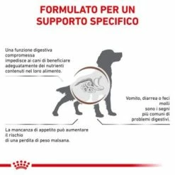 Royal Canin Gastrointestinal Canine - 2 Kg -Cibo per gatti negozio grafiche prodotti magento 600x600 2022 11 07t122524.205