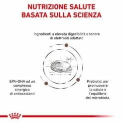 Royal Canin Gastrointestinal Canine - 2 Kg -Cibo per gatti negozio grafiche prodotti magento 600x600 2022 11 07t122534.548