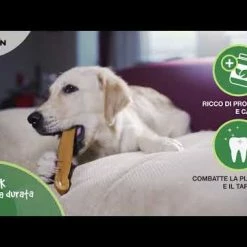 Camon Snack Barrette Al Latte Himalaya - Medium - 100 Gr -Cibo per gatti negozio hqdefault 9 9