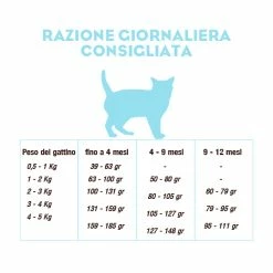CooKing Cat Grain Free Kitten All Breed Con Salmone - 2 Kg -Cibo per gatti negozio reazione giornaliera cooking cat kitten salmone