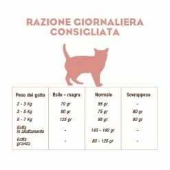 CooKing Cat Grain Free All Breed Con Salmone - 8 Kg -Cibo per gatti negozio reazione giornaliera cooking cat salmone