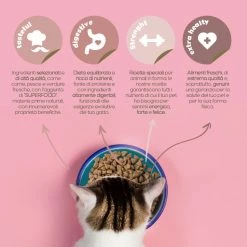 CooKing Cat Grain Free All Breed Con Salmone - 8 Kg -Cibo per gatti negozio scheda prodotto 4 1