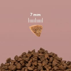 CooKing Cat Grain Free All Breed Con Salmone - 8 Kg -Cibo per gatti negozio scheda prodotto 6 1